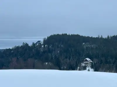 Ferienwohnung für 4 Personen (60 m²) in Hinterzarten 8/10