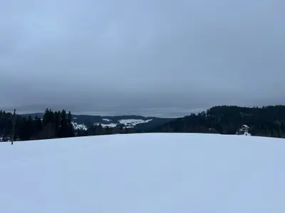 Ferienwohnung für 4 Personen (60 m²) in Hinterzarten 9/10