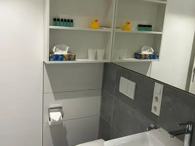 Ferienwohnung für 3 Personen (40 m²) in Nordhorn 4/6