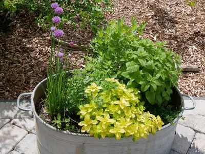 Ferienwohnung für 2 Personen (44 m²) in Bosau 4/10