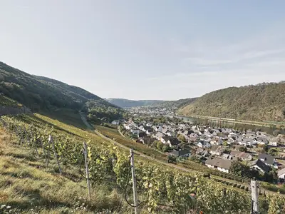 Weinberge