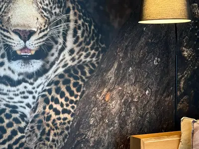 Wohlfühlen im Coburg-Style