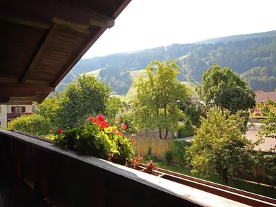 Ausblick vom südseitigen Balkon
