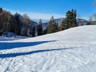 Ferienwohnung für 4 Personen (90 m²) in Ried (Muotathal) 4/10