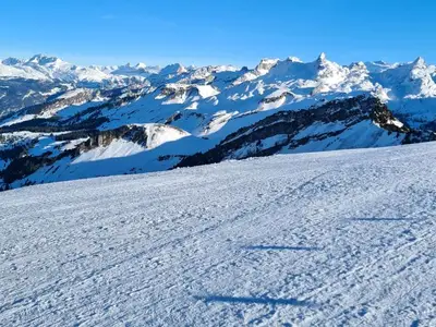 Ferienwohnung für 4 Personen (90 m²) in Ried (Muotathal) 7/10