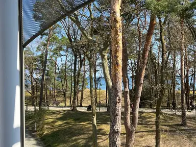 Ferienwohnung für 4 Personen (72 m²) in Heringsdorf (Seebad) 4/10