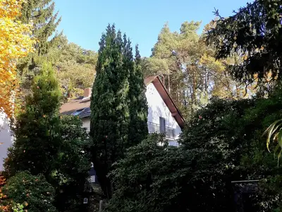 Ruhige Seitenstraße