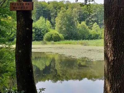 Iserbachschleife / Veltens Weiher