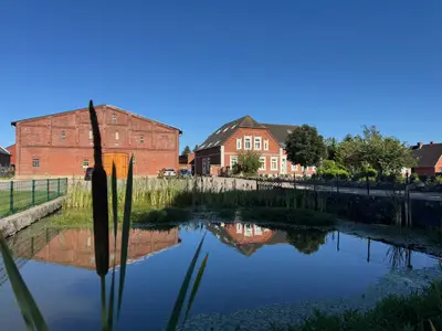 Ferienwohnung für 3 Personen (45 m²) in Fehmarn 1/10