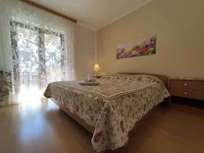 Ferienwohnung für 4 Personen (42 m²) in Novigrad 9/10