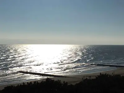 Ferienwohnung für 4 Personen (32 m²) in Porto Santa Margherita 9/10