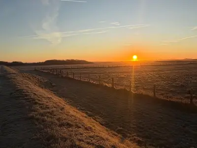 Ferienwohnung für 4 Personen (50 m²) in Sylt-Ost 10/10