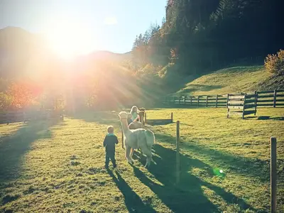 03ef602d-3055-4ec7-be7a-f382697f44cc