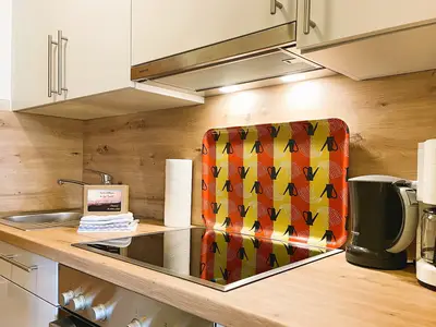 Ferienwohnung für 2 Personen (50 m²) in Wyk auf Föhr 5/10