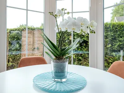 Ferienwohnung für 4 Personen (60 m²) in Timmendorfer Strand 9/10