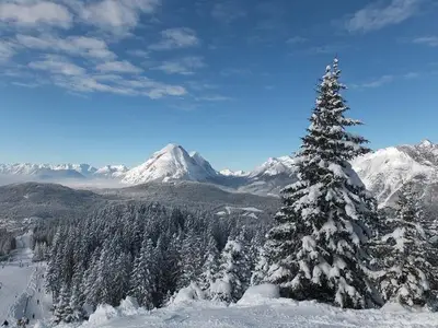 Ferienwohnung für 6 Personen (50 m²) in Seefeld in Tirol 2/10
