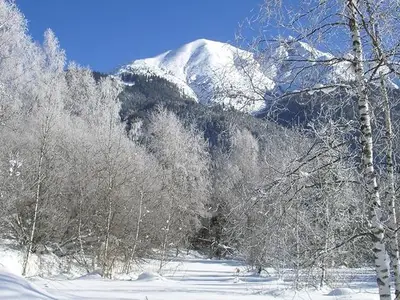 Ferienwohnung für 6 Personen (50 m²) in Seefeld in Tirol 7/10