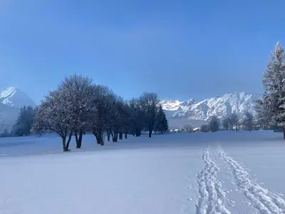 Ferienwohnung für 6 Personen (50 m²) in Seefeld in Tirol 9/10