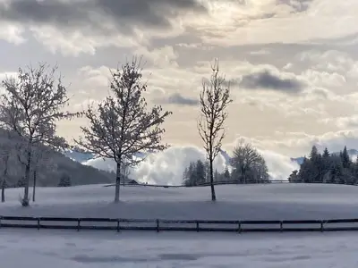 Ferienwohnung für 6 Personen (50 m²) in Seefeld in Tirol 10/10
