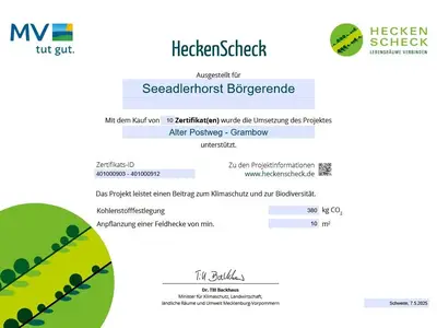 Ferienwohnung für 4 Personen (84 m²) 3/10