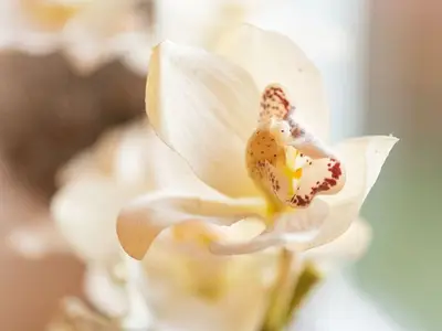 Ferienwohnung für 3 Personen (70 m²) 6/10