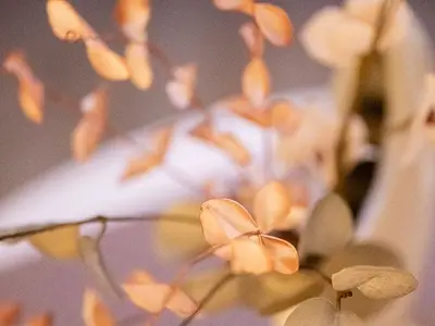 Ferienwohnung für 3 Personen (70 m²) 10/10