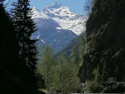 IMG_20200424_104412_Original