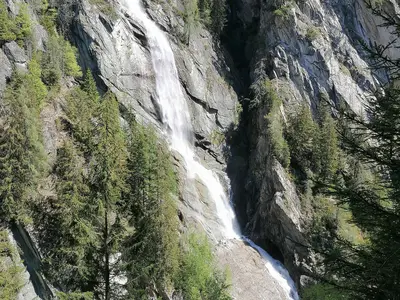 IMG_20200504_112410_Original