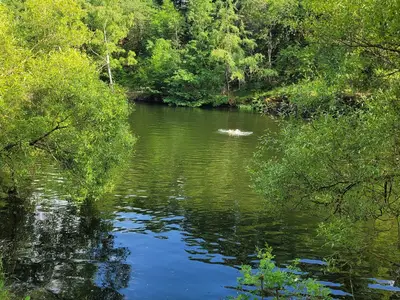 Ferienwohnung für 10 Personen (100 m²) in Odenbach 2/10