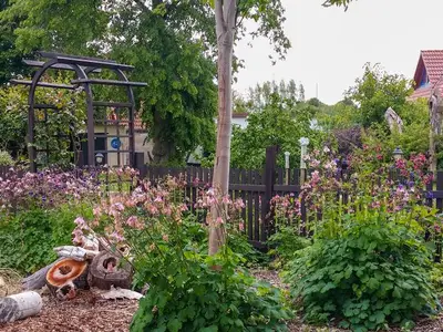 Ferienwohnung für 3 Personen (35 m²) in Lubmin (Seebad) 6/10