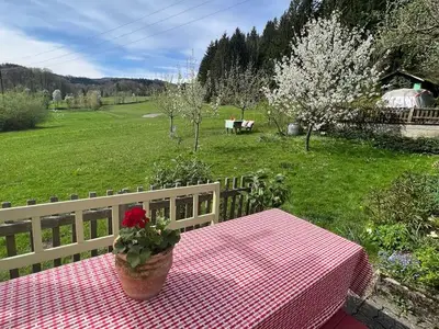 Ferienwohnung für 3 Personen (42 m²) in Nußdorf Am Attersee 7/10