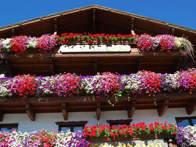Gästehaus Edelweiss Reith bei Seefels Sommer