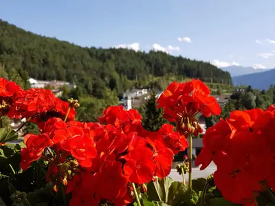 Gästehaus Edelweiss Reith bei Seefeld Aussicht