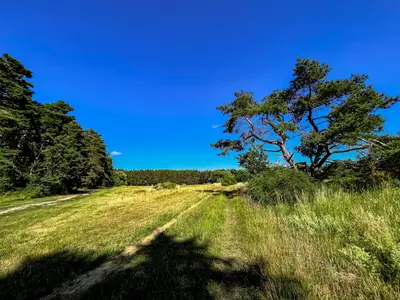 Ferienwohnung für 2 Personen (70 m²) in Rankwitz 2/10