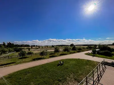 Ferienwohnung für 4 Personen (83 m²) in Reestow 6/10