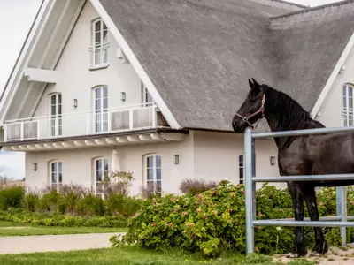 Ferienwohnung für 4 Personen (83 m²) in Reestow 7/10