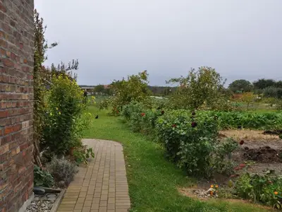 Ferienwohnung für 4 Personen (60 m²) in Mellenthin 4/10