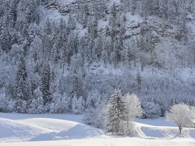 Sonnenbichl Winterspaziergang