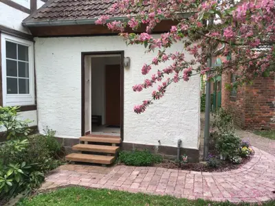 die-wohnung-hat-einen-seperaten-eingang-vom-garten