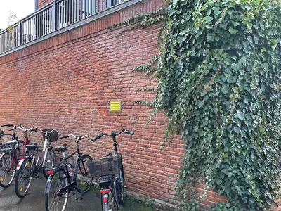 Ferienwohnung für 2 Personen (25 m²) in Wyk auf Föhr 2/10