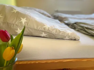 Ferienwohnung für 4 Personen (65 m²) in Fehmarn 9/10