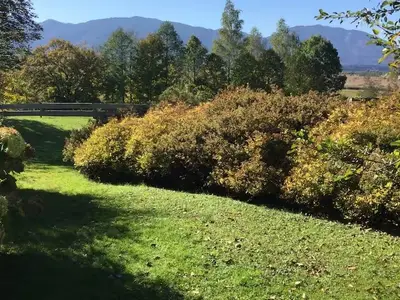 Ferienwohnung für 2 Personen (49 m²) in Murnau am Staffelsee 4/10