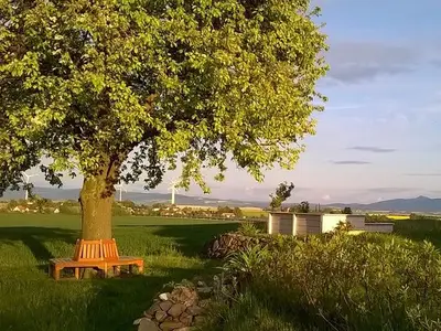 Ferienwohnung für 4 Personen (55 m²) in Mittelherwigsdorf 7/10