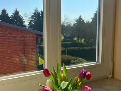 Ferienwohnung für 4 Personen (55 m²) in Fehmarn 7/10