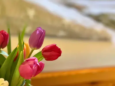 Ferienwohnung für 4 Personen (55 m²) in Fehmarn 8/10