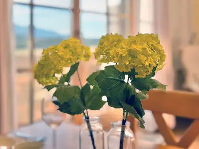 Ferienwohnung für 4 Personen (50 m²) in Seeg 8/10