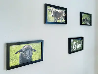 Ferienwohnung für 4 Personen (50 m²) in Seeg 9/10