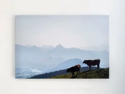 Ferienwohnung für 4 Personen (50 m²) in Seeg 7/10