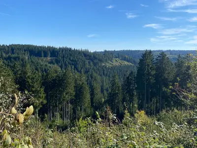 Ferienwohnung für 4 Personen (48 m²) in Goslar-Hahnenklee 7/10