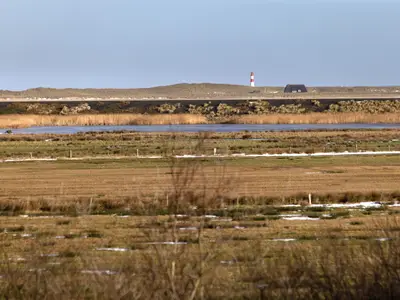 Ferienwohnung für 2 Personen (24 m²) in List auf Sylt 8/10